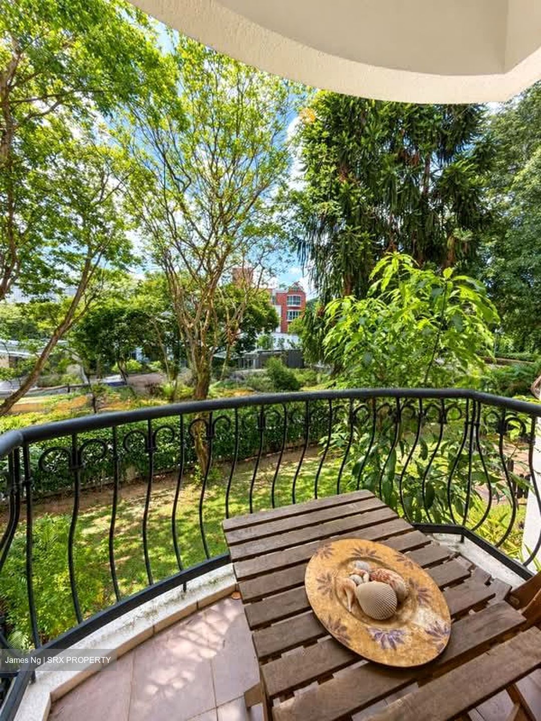 Tanglin Park (D10), Condominium #574091841